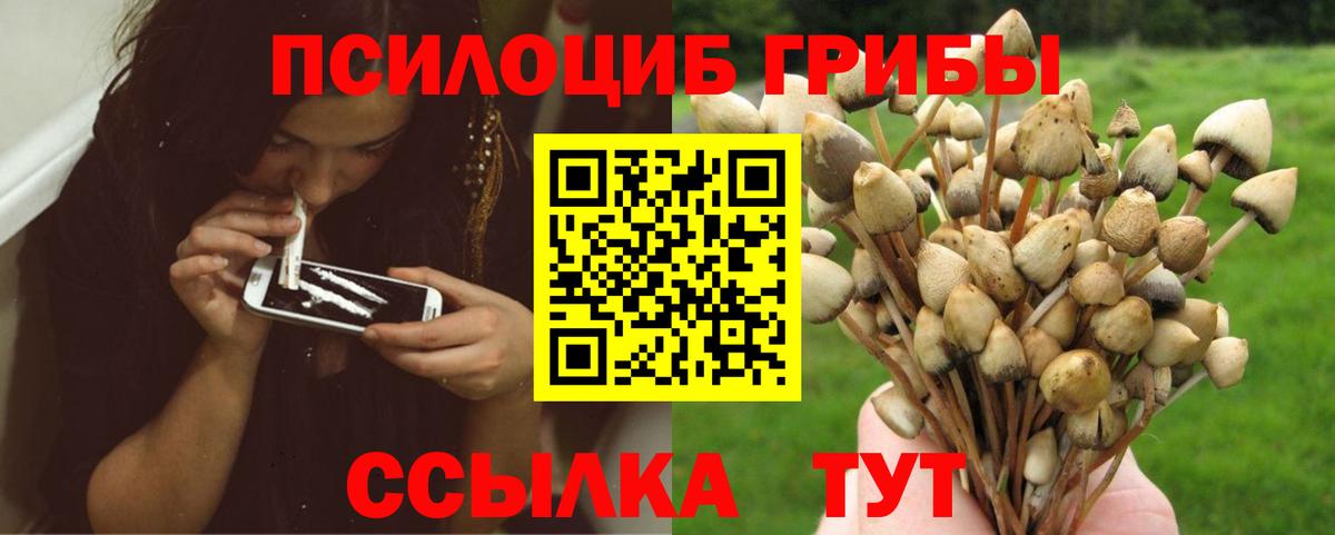 Галлюциногенные грибы Cubensis  Вход с VPN  Галлюциногенные грибы GOLDEN TEACHER  купить  сайты  Куйбышев 